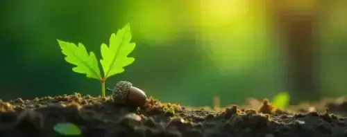 Environmental, Social, and Governance (ESG)